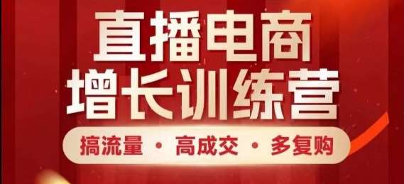 “直播电商增长秘籍：流量转化与复购策略全解析”-聚合资源库