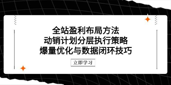 “全站盈利布局：动销计划与爆量优化的高效策略及数据闭环技巧”-聚合资源库