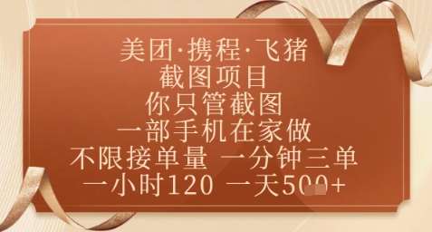 “在家轻松日赚：飞猪美团截图项目全攻略”-聚合资源库
