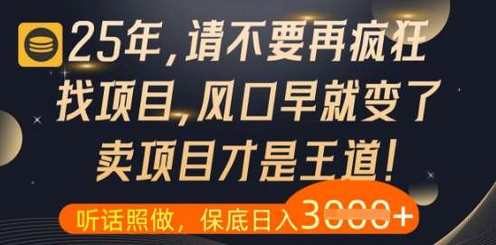 揭秘：25年专注项目的秘密，让你瞬间精通-聚合资源库