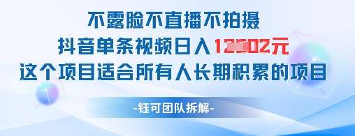 “日入1K+：揭秘无需露脸的抖音视频创作秘诀，适合所有人的长期盈利项目”-聚合资源库