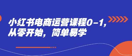 “零基础入门：小红书电商运营实战技巧全攻略”-聚合资源库