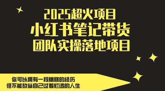 “2025年超火副业项目：小红书笔记带货实操，日赚5张秘诀大公开！”-聚合资源库