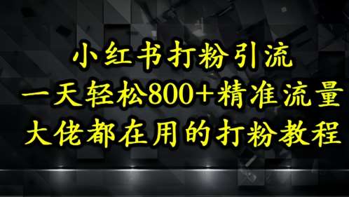 “小红书引流秘诀：日增500+精准粉丝的高效策略”-聚合资源库