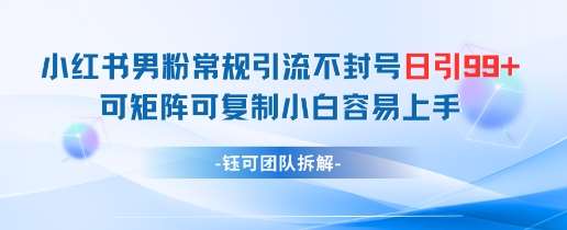 “男性粉丝必看：小红书日增99+粉丝秘籍，轻松变现，小白也能上手！”-聚合资源库
