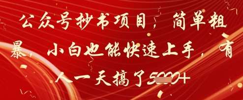 “抄书项目：零基础快速入门，日赚千元的秘诀揭晓”-聚合资源库