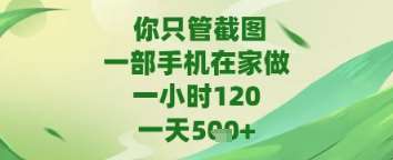 “在家轻松赚钱：手机截图技巧大揭秘，苹果和安卓用户必看”-聚合资源库