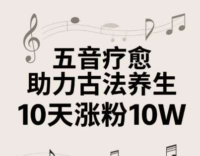 “五音养生秘籍：2-4小时速成教程，揭秘作者10天10W粉丝的秘密”-聚合资源库