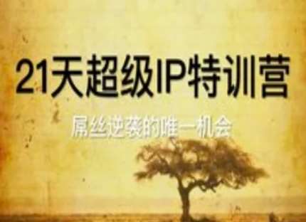 21天特训营：打造超级IP，实现屌丝到精英的华丽转变！-聚合资源库
