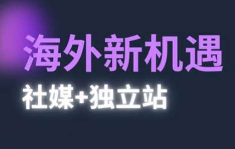 “2025年海外市场新风口：社媒营销与独立站双引擎驱动攻略”-聚合资源库