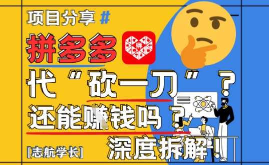 拼多多代坎助力项目全揭秘：2025年赚钱新策略与实战技巧-聚合资源库