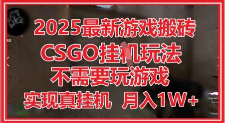 “2025年游戏搬砖秘籍：CSGO全自动挂机攻略，轻松月入过万！”-聚合资源库
